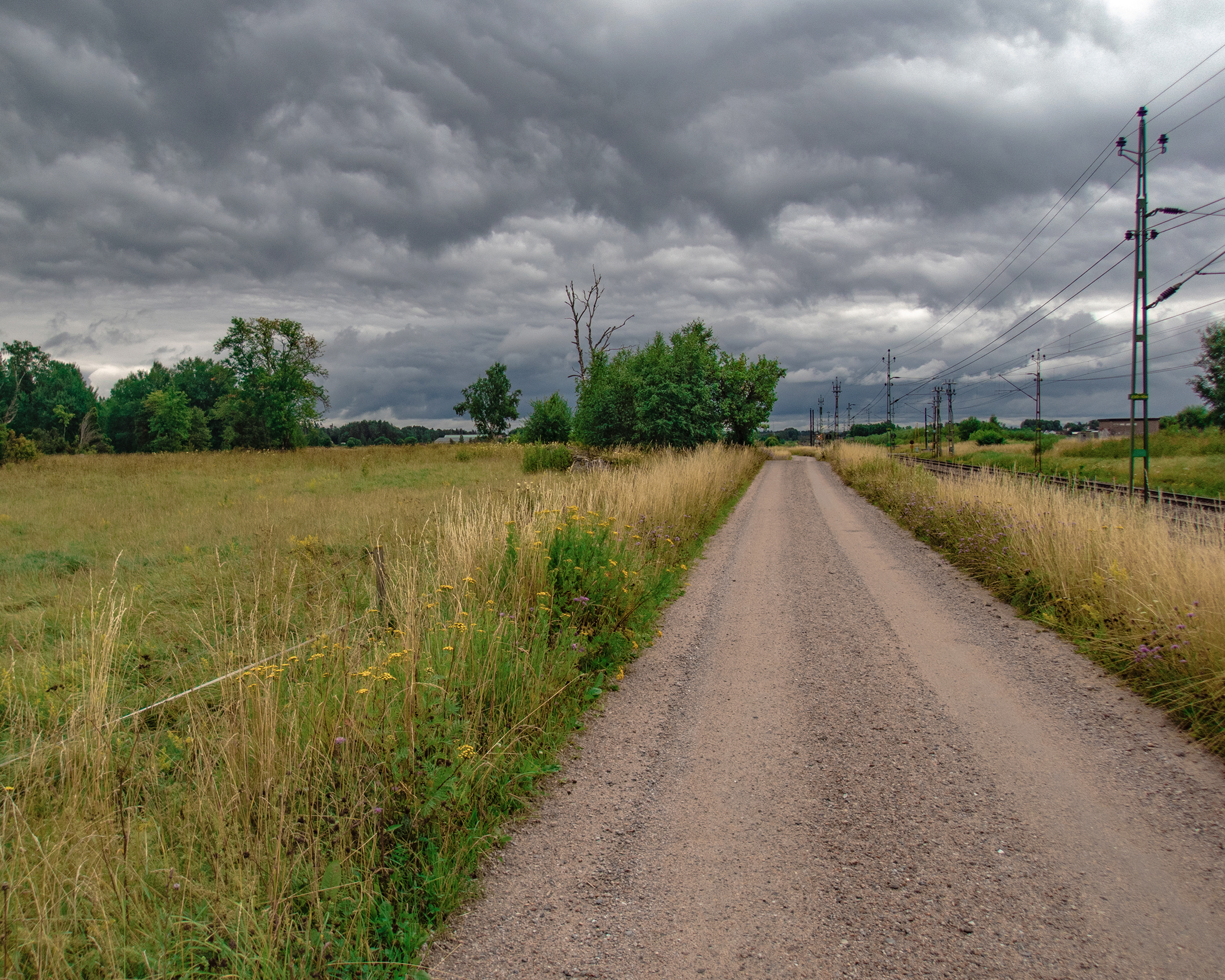 Hundprommenad i Hovsta City