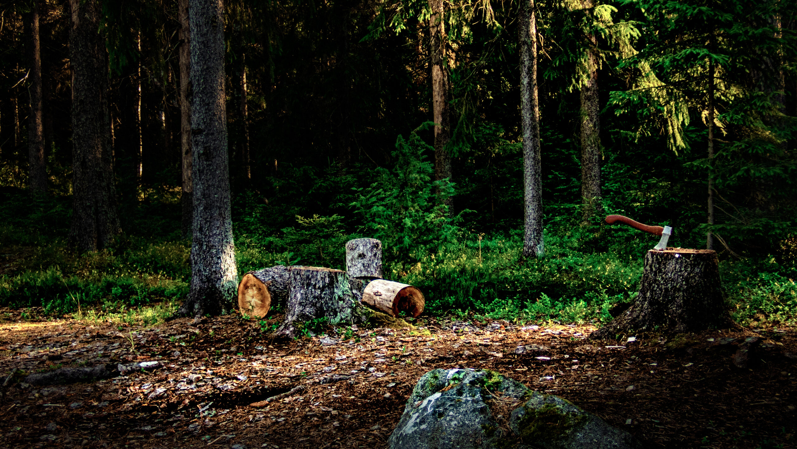 Vandring i dom blå Kilsbergen